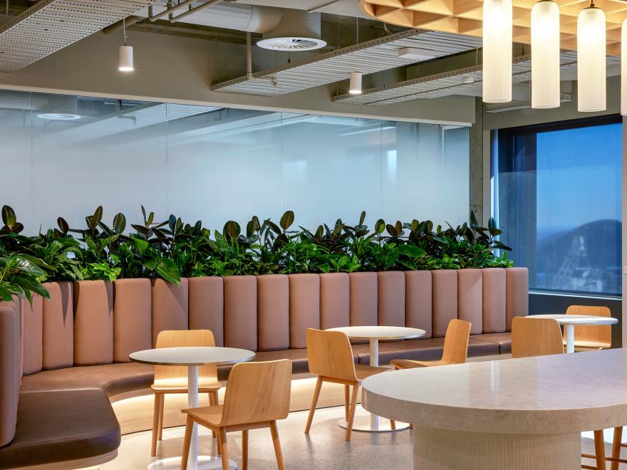 FDC Construction & Fitout