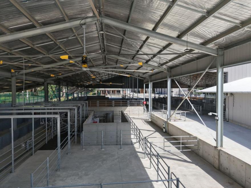 Stephen Edwards Constructions