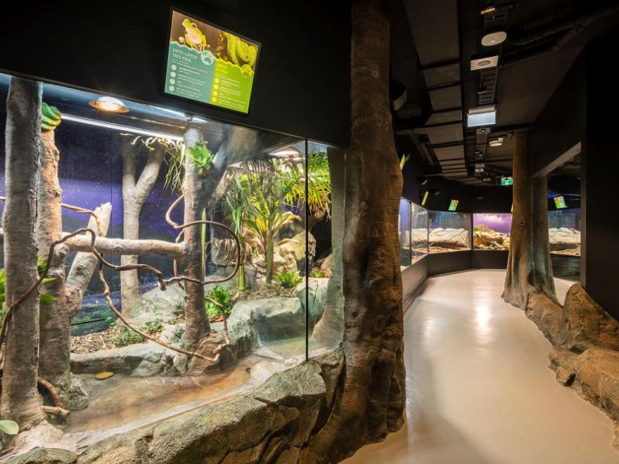 Stephen Edwards Constructions