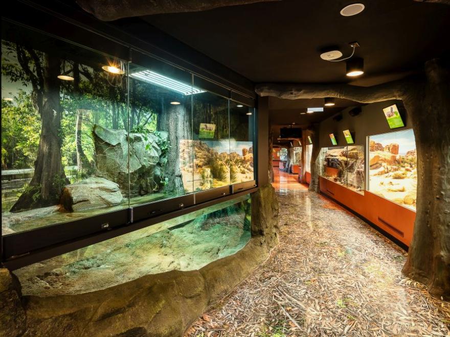 Stephen Edwards Constructions