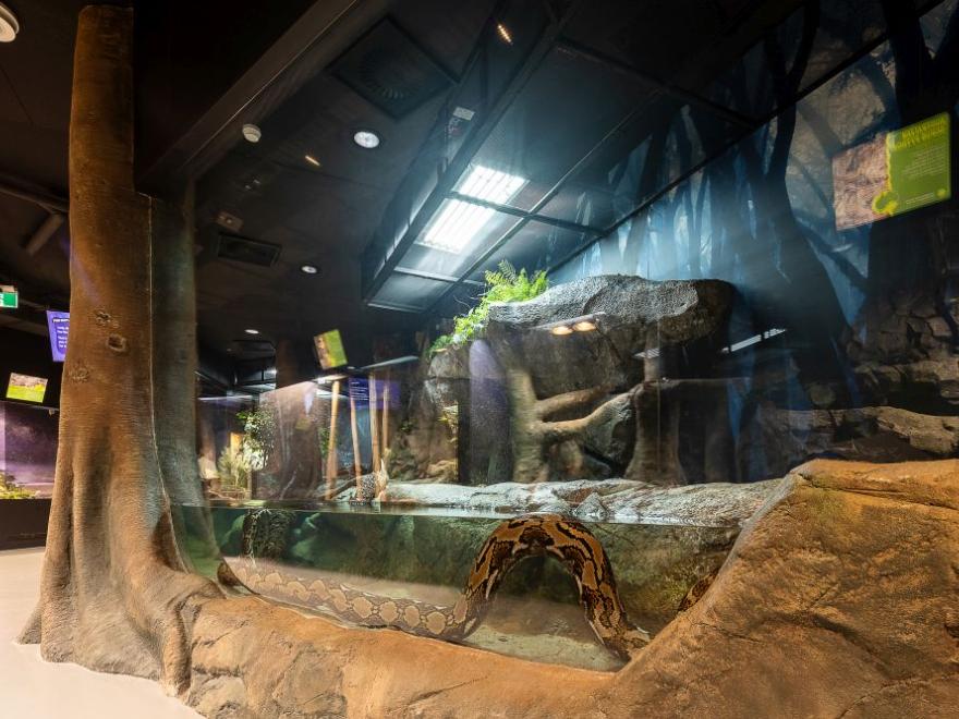 Stephen Edwards Constructions